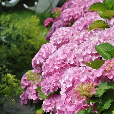 La D'à Côté 4* Aische-en-Refail